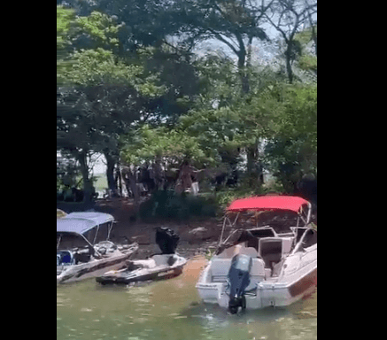 Foto: Reprodução video internet