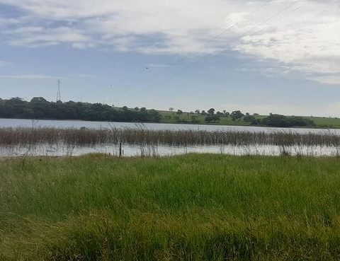 Reprodução site JD1 Noticias