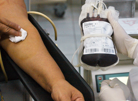 Imagem: Reprodução Internet