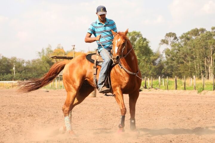 Sindicato Rural oferece cursos gratuitos de Equideocultura em Aparecida do Taboado / Foto: Reprodução internet