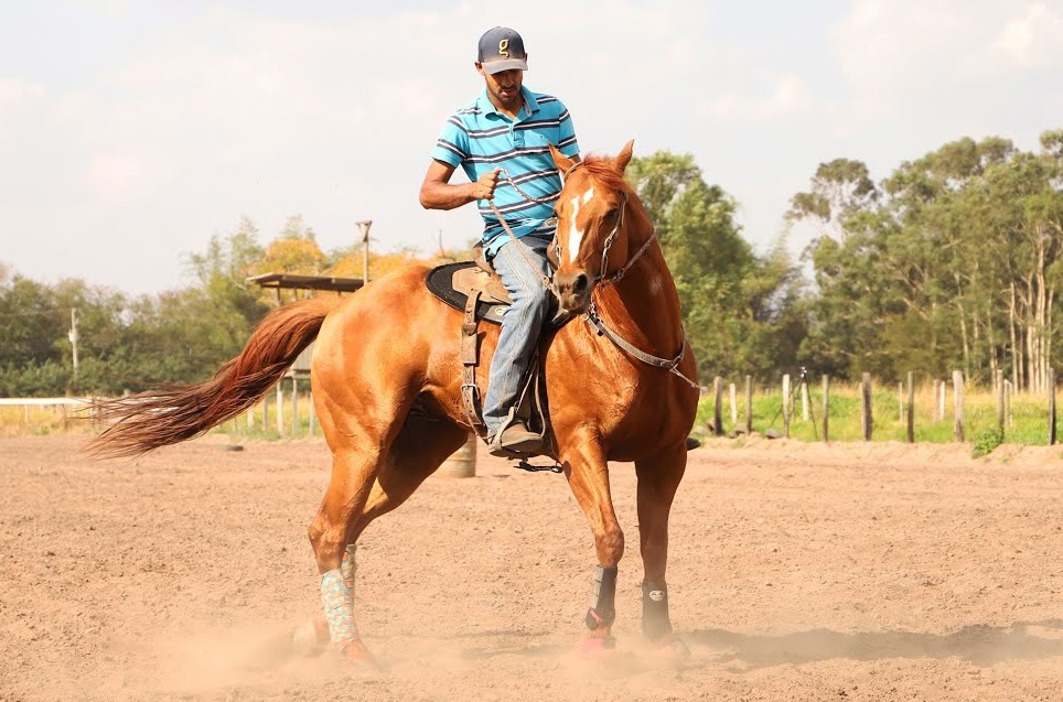Sindicato Rural oferece cursos gratuitos de Equideocultura em Aparecida do Taboado / Foto: Reprodução internet
