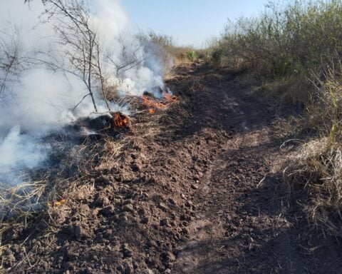 Fotos: Divulgação Corpo de Bombeiros