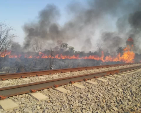 Foto: Ilustração/ Fonte: Defesa Civil Talismã/Divulgação