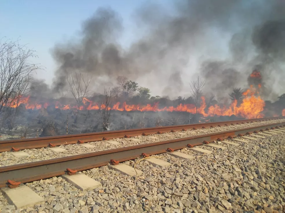 Foto: Ilustração/ Fonte: Defesa Civil Talismã/Divulgação