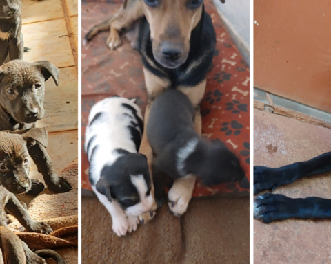 Foto: Reprodução Facebook