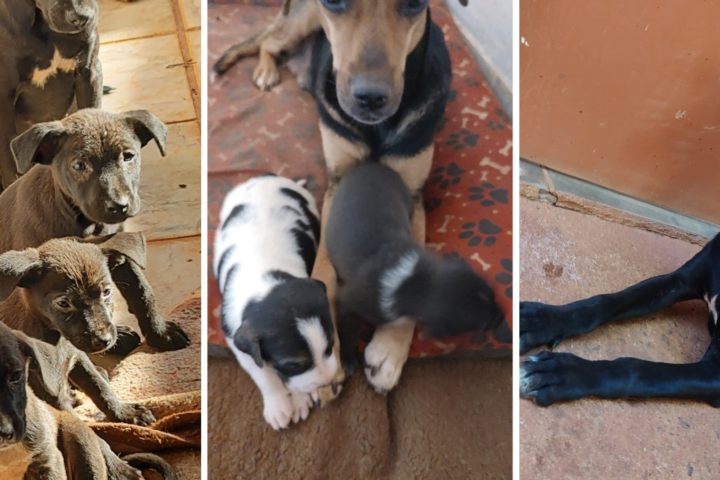 Foto: Reprodução Facebook