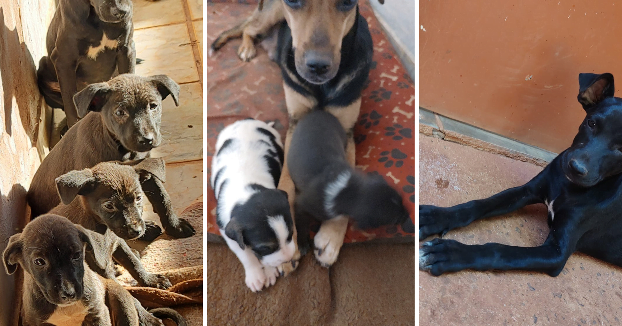 Foto: Reprodução Facebook