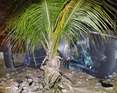 Foto: Alfredo Neto/ JP News