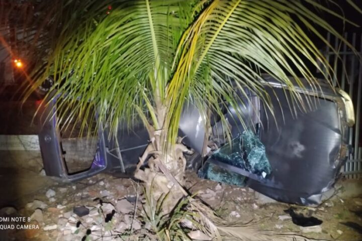 Foto: Alfredo Neto/ JP News