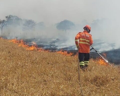Bombeiros realizam 15 atendimentos de incêndio em vegetação/ Foto: Corpo de Bombeiros