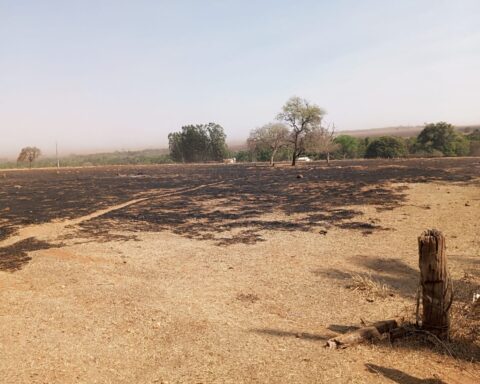 Moradores da zona rural registram incêndio que atingiu cerca de 6 mil hectares em Aparecida do Taboado/ Foto: Willian
