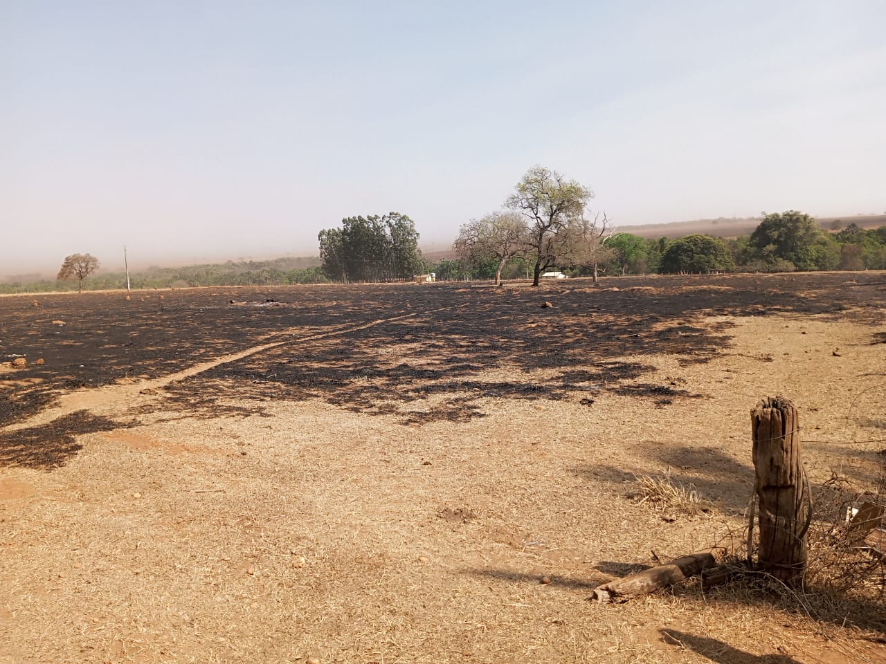Moradores da zona rural registram incêndio que atingiu cerca de 6 mil hectares em Aparecida do Taboado/ Foto: Willian