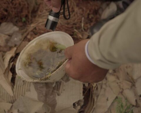 Foto: Divulgação/GovMS