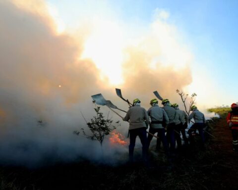Foto: Saul Schramm/Arquivo