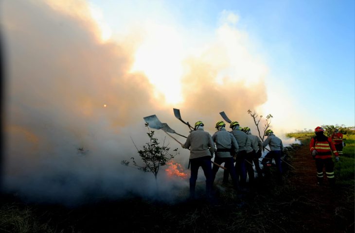 Foto: Saul Schramm/Arquivo