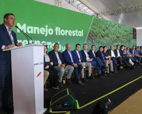 Fotos: Saul Schramm/Secom