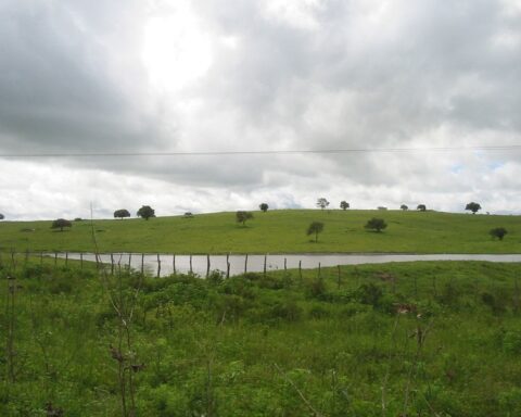 Foto Reprodução Internet