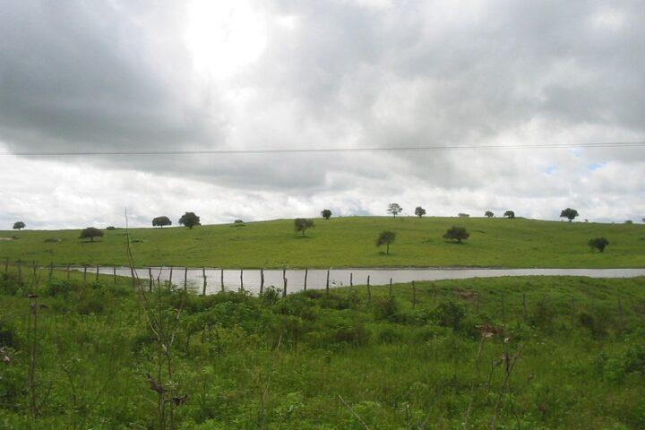 Foto Reprodução Internet