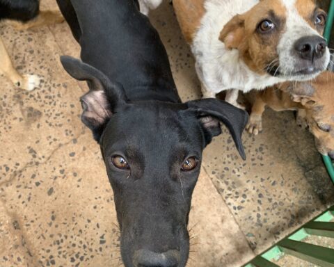 Foto: Reprodução Facebook