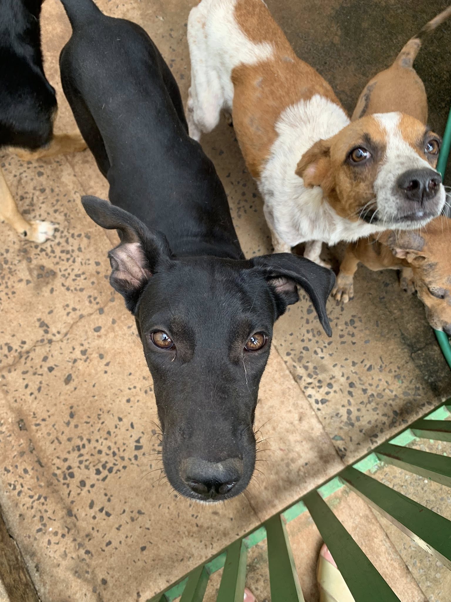 Foto: Reprodução Facebook