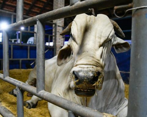 Foto de capa: Bruno Rezende/Secom