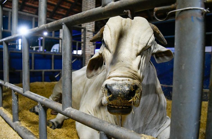 Foto de capa: Bruno Rezende/Secom
