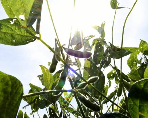 Foto de capa: Bruno Rezende/Secom/Arquivo