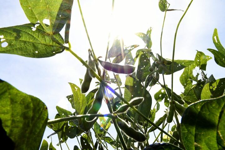 Foto de capa: Bruno Rezende/Secom/Arquivo