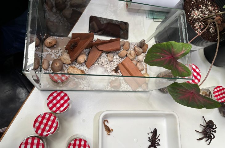 Foto capa: Helton Davis