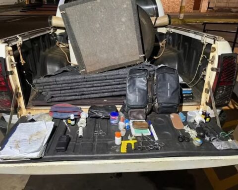 Foto: Polícia Militar Ambiental/Divulgação