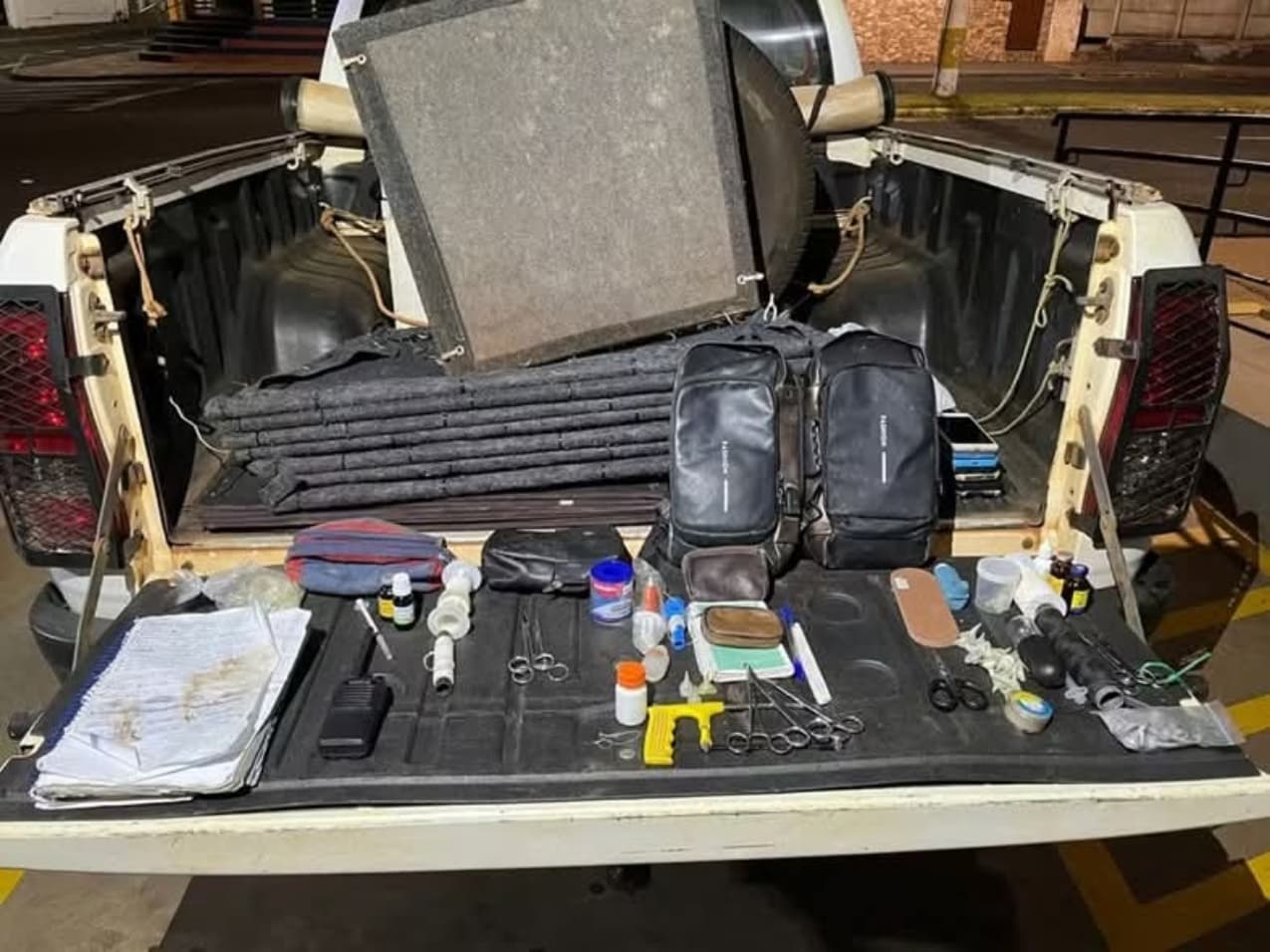 Foto: Polícia Militar Ambiental/Divulgação