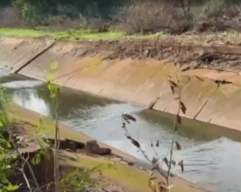 Foto: Reprodução Carlos Alberto/ Rádio Santa Fé