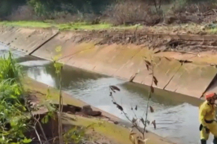 Foto: Reprodução Carlos Alberto/ Rádio Santa Fé