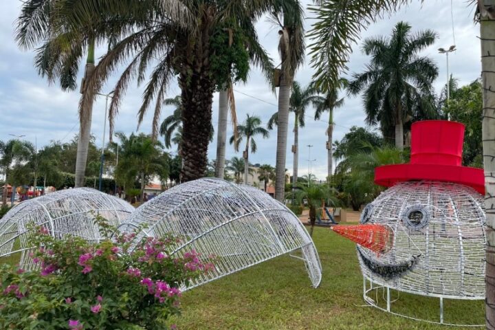 Fotos Tamires Lemos - DICOM