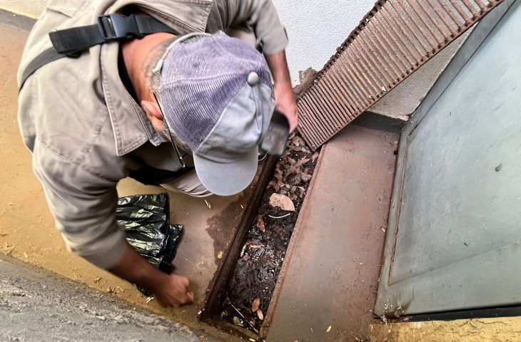 Foto: Kamilla Ratier