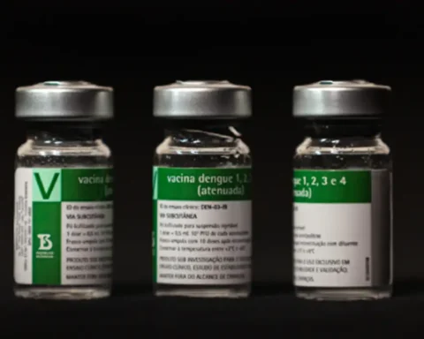 Instituto Butantan/Divulgação