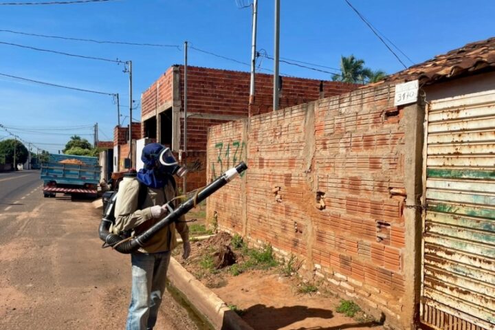 Fotos Maria Eduarda - DICOM