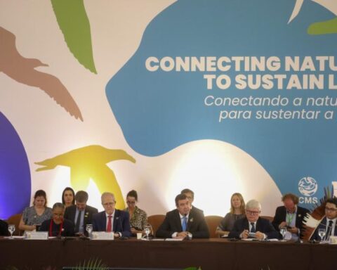 Fotos: Álvaro Rezende, Secom/MS