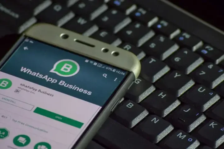 Imagem: Shutterstock