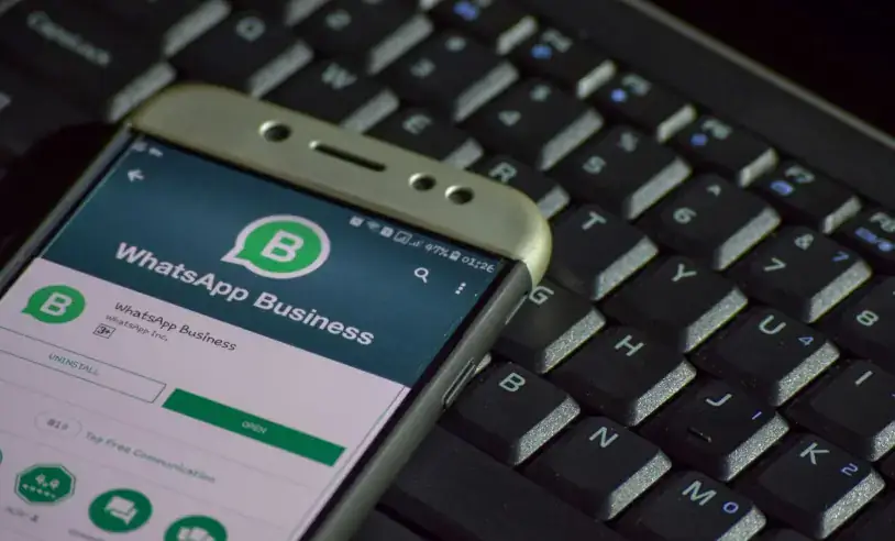 Imagem: Shutterstock