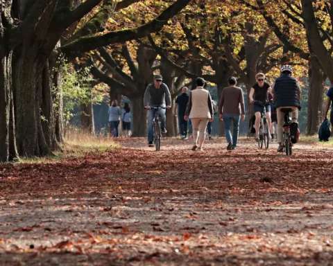 © Pixabay/Domínio Público