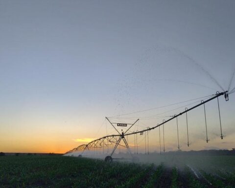 Foto: arquivo Aprosoja/MS