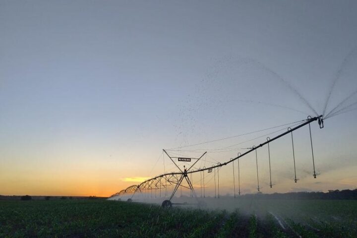 Foto: arquivo Aprosoja/MS