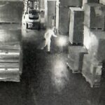 Foto: Divulgação Policia Civil MS