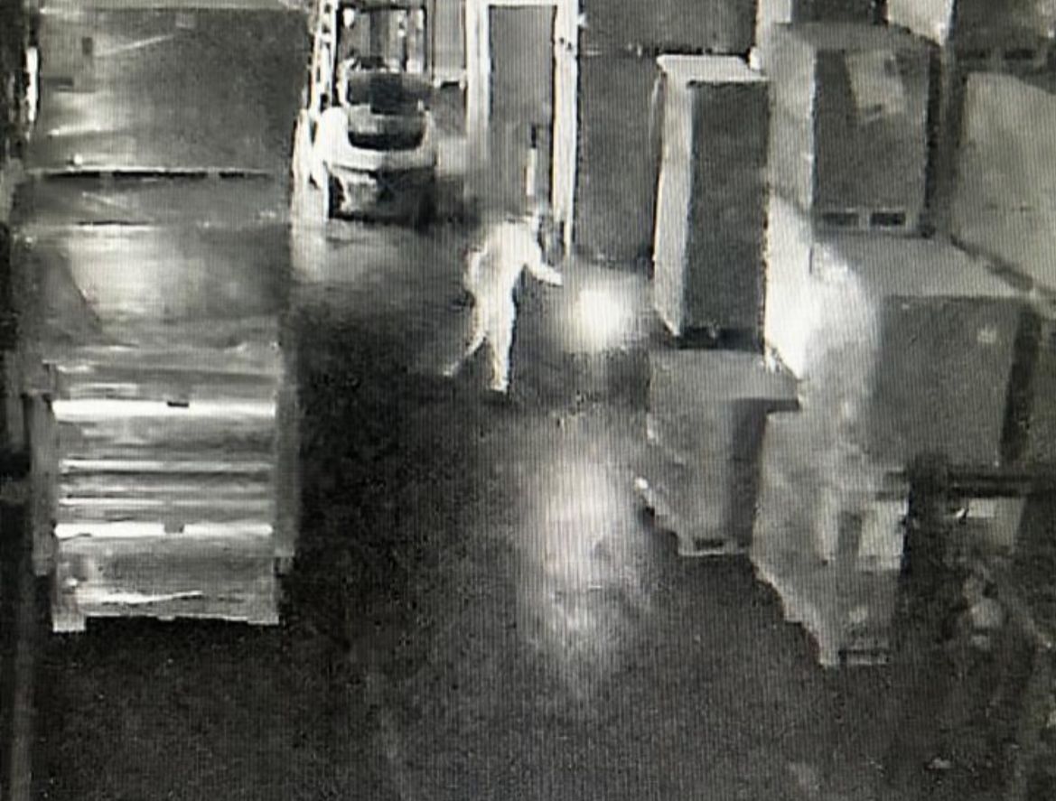 Foto: Divulgação Policia Civil MS